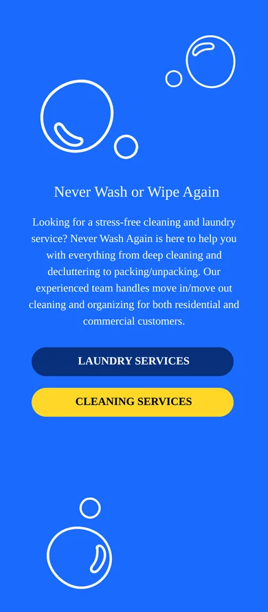 Original Never Wash Again homepage captured on an iPhone-size viewport