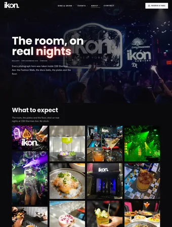 Gallery page of the redesigned IKON site